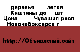 деревья  2-3 летки --Каштаны до 40 шт › Цена ­ 99 - Чувашия респ., Новочебоксарск г.  »    